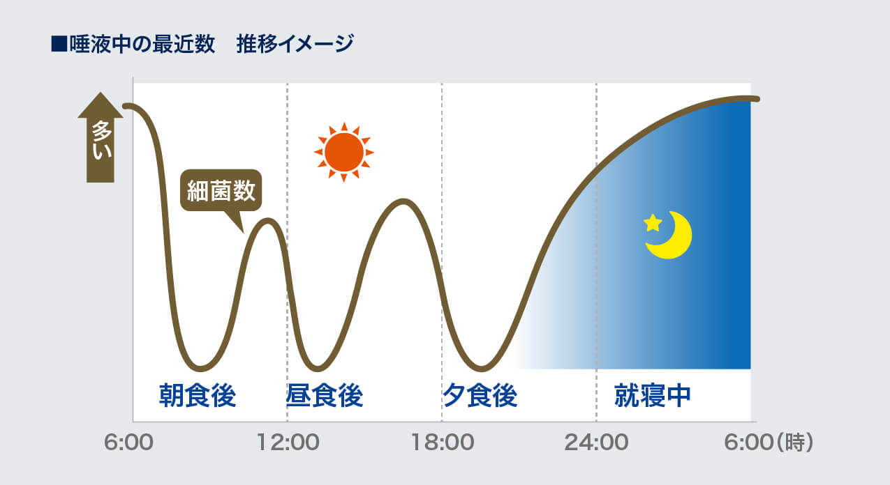 唾液中の細菌数、推移イメージ