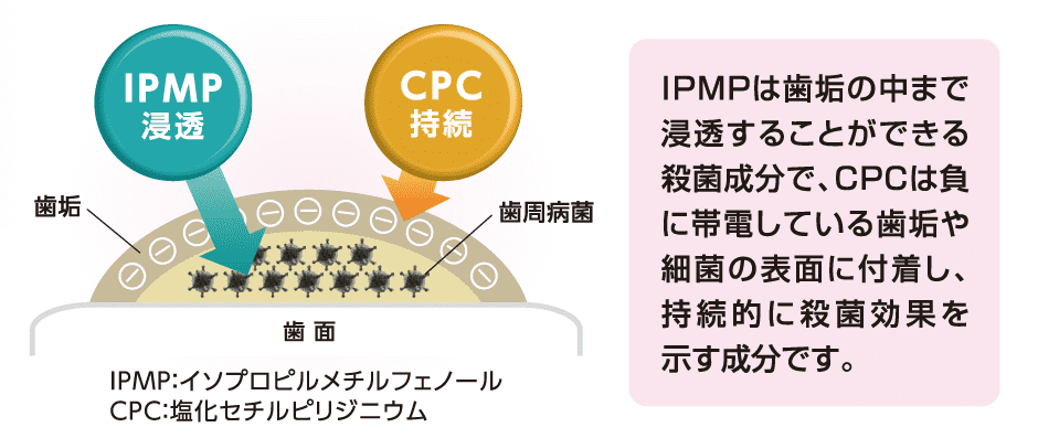 POINT1 殺菌 画像