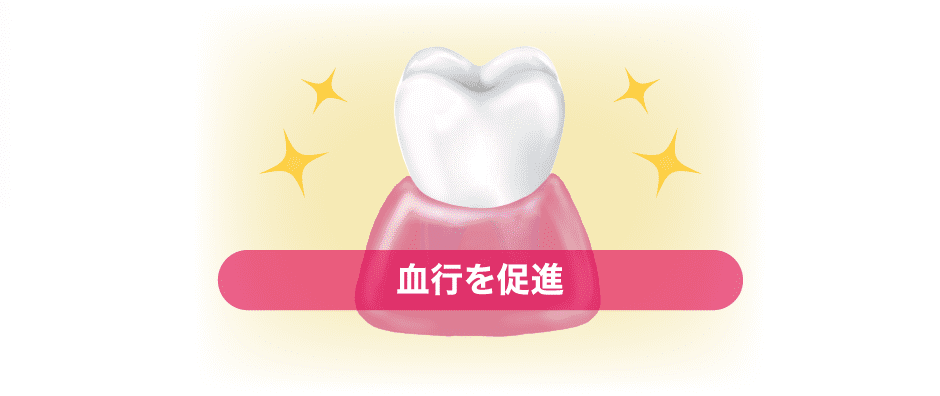 POINT2 歯ぐきケア 画像